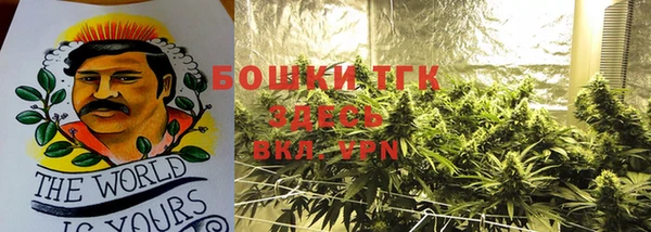 дурь Белокуриха